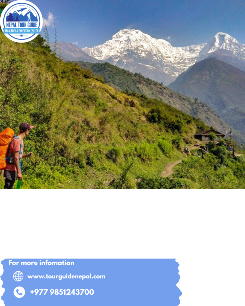 Mardi Himal Trek