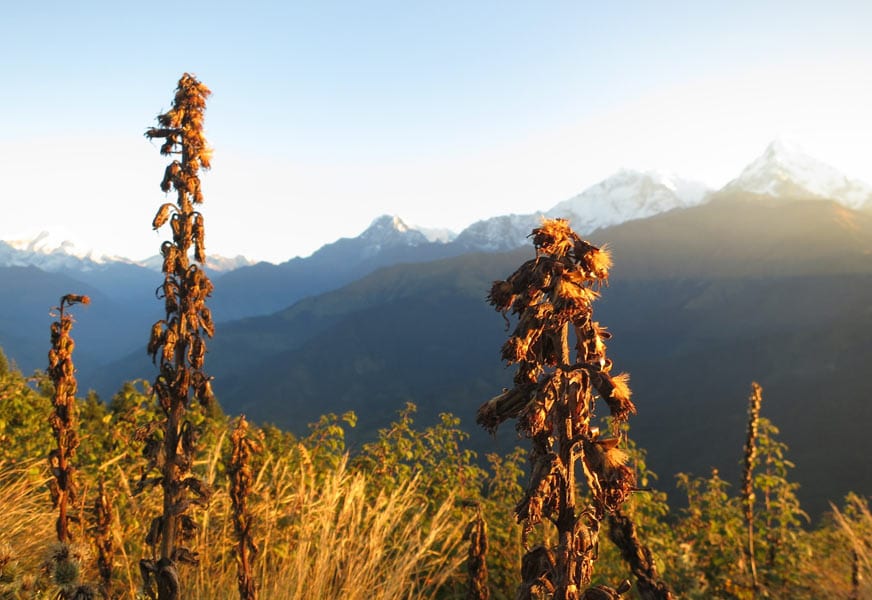 Poon Hill Trek Poon Hill Trek