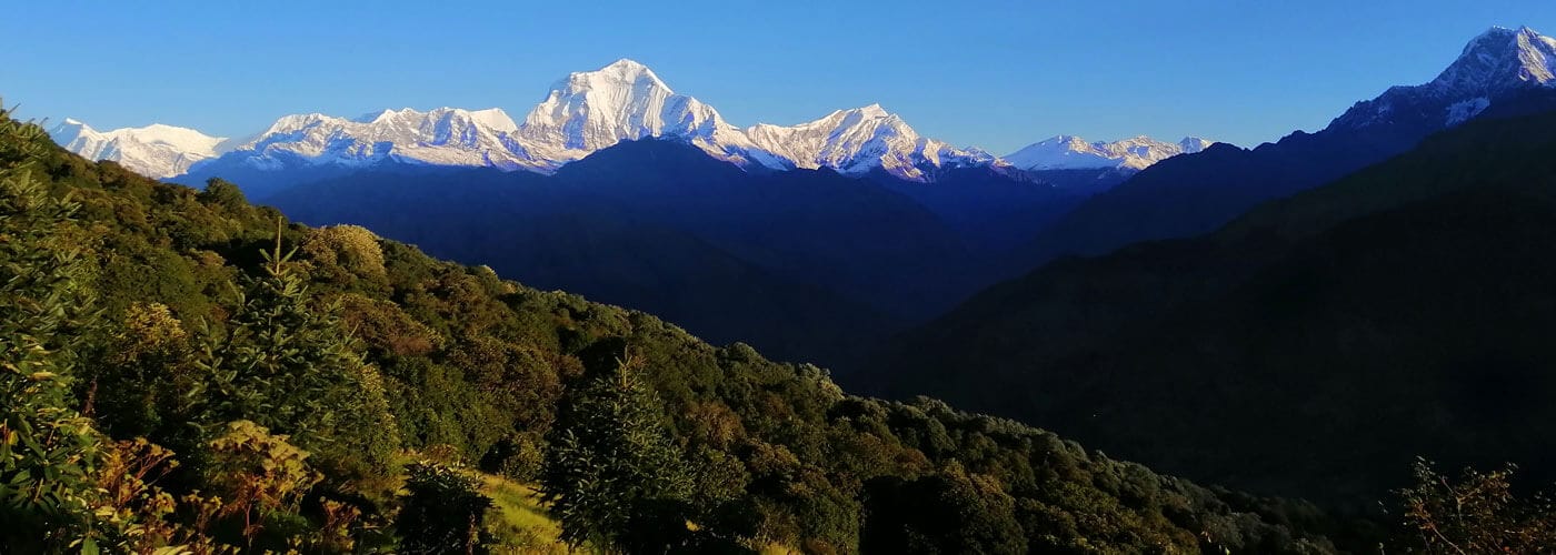 Trekking in Nepal