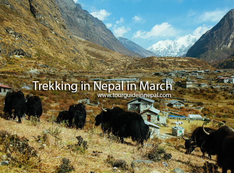 Trekking in Nepal in March