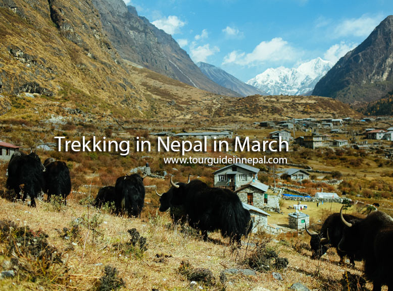 nepal treks in march