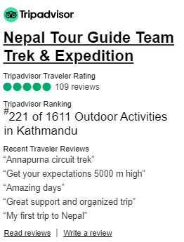 trip advisor review