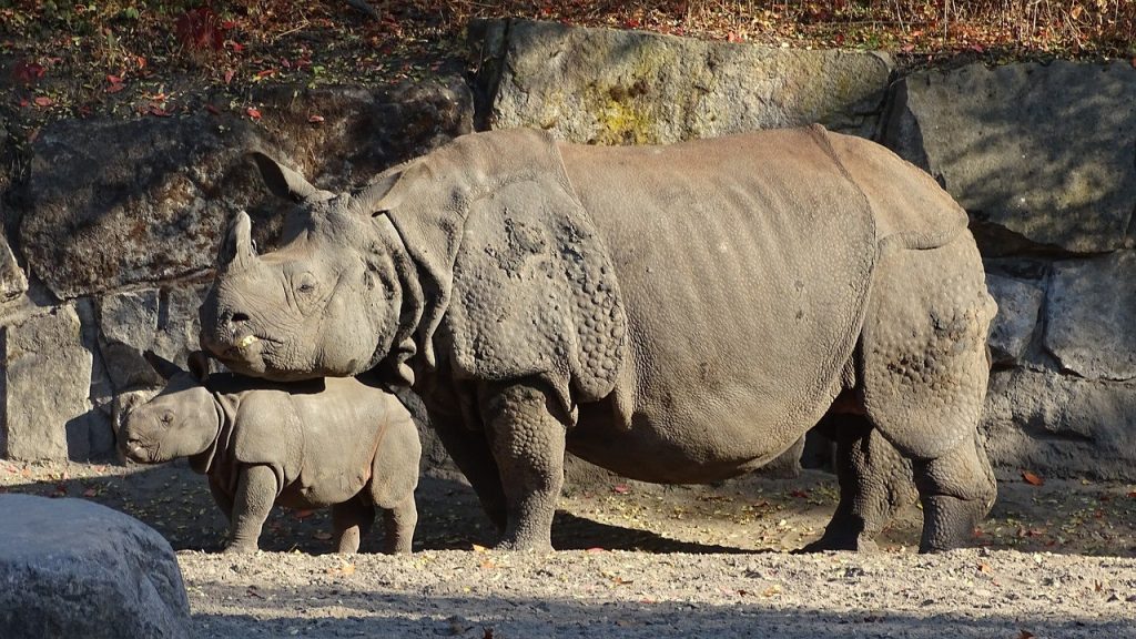 Royal Bardia National Park- best places to visit in Nepal