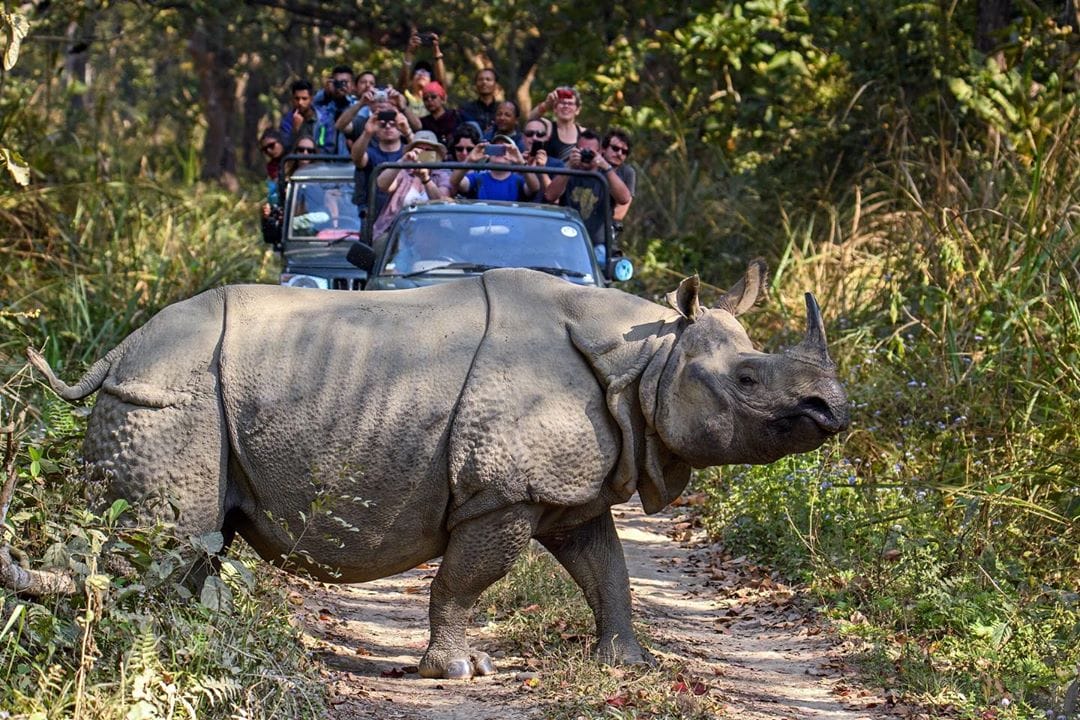 Chitwan National Park