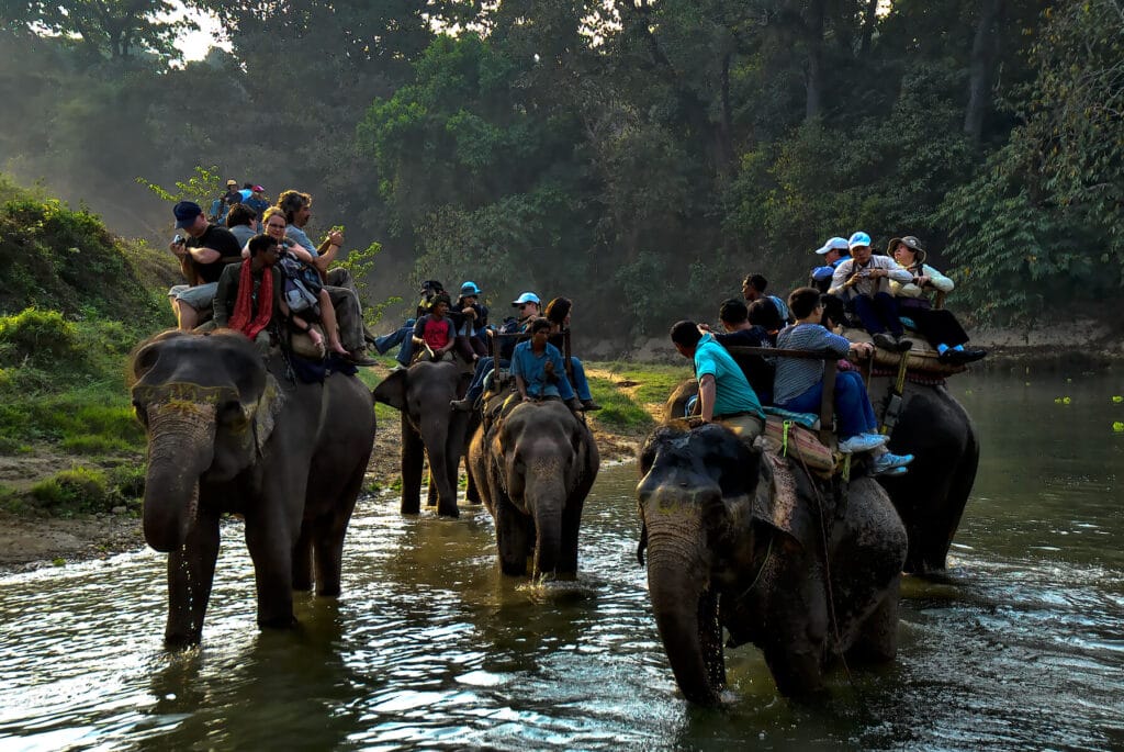 wildlife exploration in Nepal