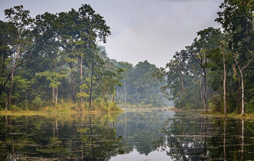 Royal Chitwan National Park