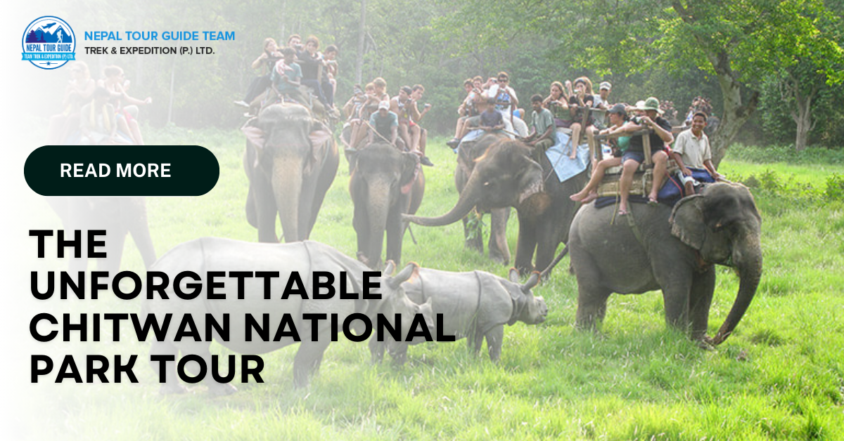 The Unforgettable Chitwan National Park Tour