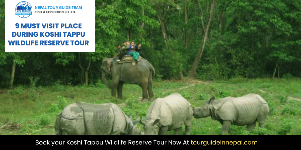 Koshi Tappu Wildlife Reserve Tour
