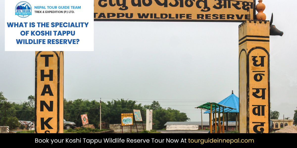 Koshi Tappu Wildlife Reserve Tour speciality