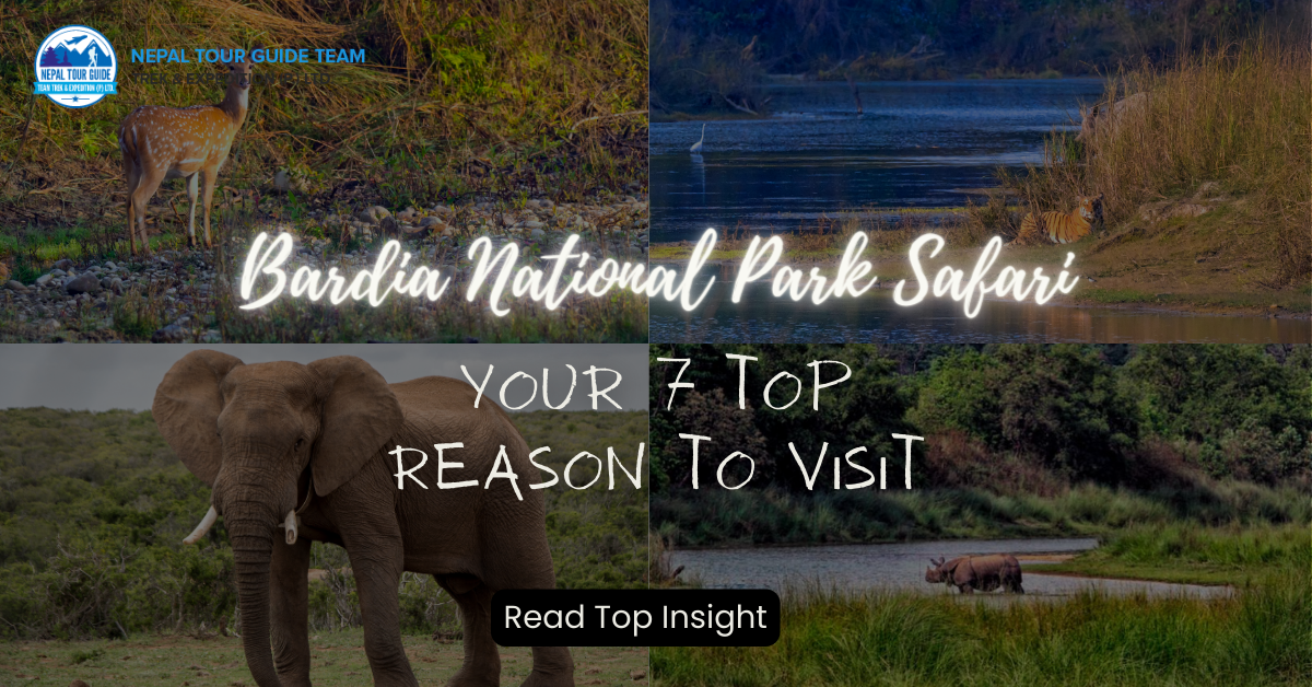 Bardia National Park Safari: Your 7 Top Reason To Visit