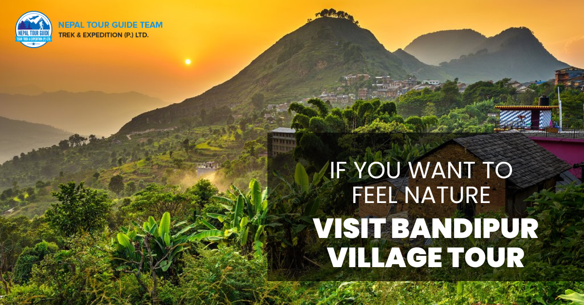 If You Want To Feel Nature, Visit Bandipur Village Tour