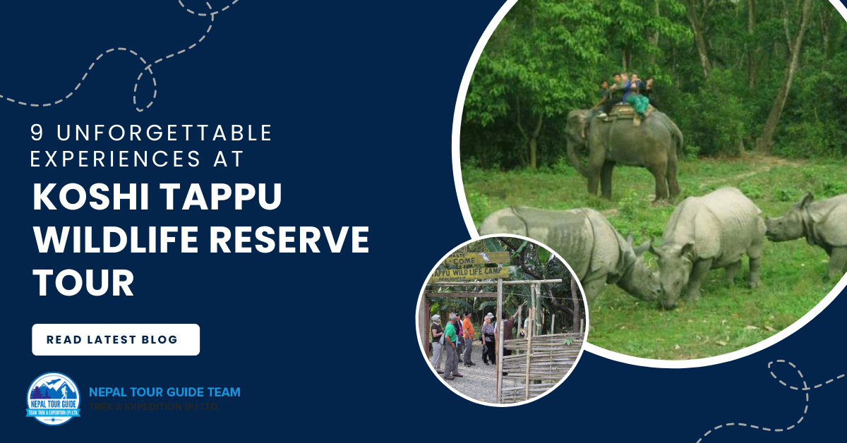 9 Unforgettable Experiences at Koshi Tappu Wildlife Reserve Tour