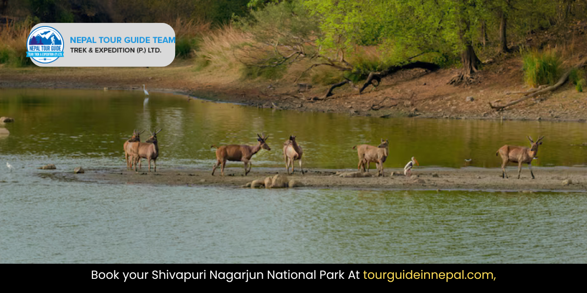 Shivapuri Nagarjun National Park