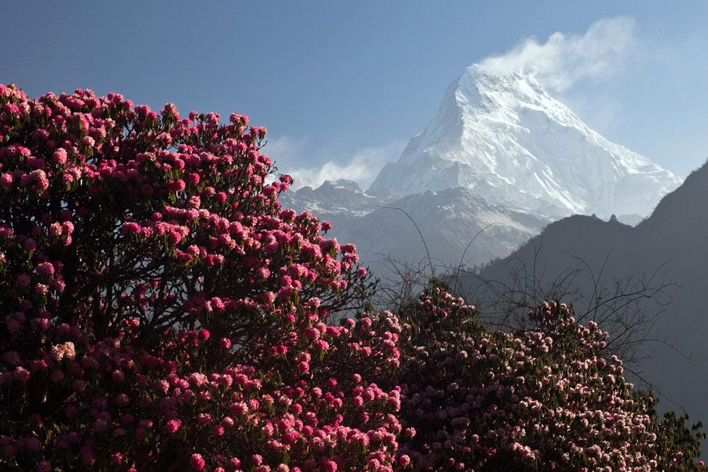 Plan your Annapurna Circuit Trek 2025: Ultimate Guide & Itinerary Plan your Annapurna Circuit Trek 2025: Ultimate Guide & Itinerary