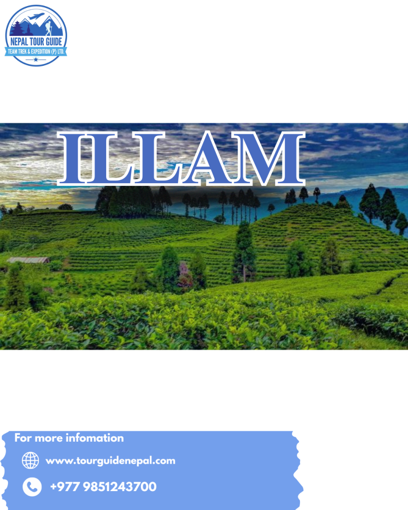Illam