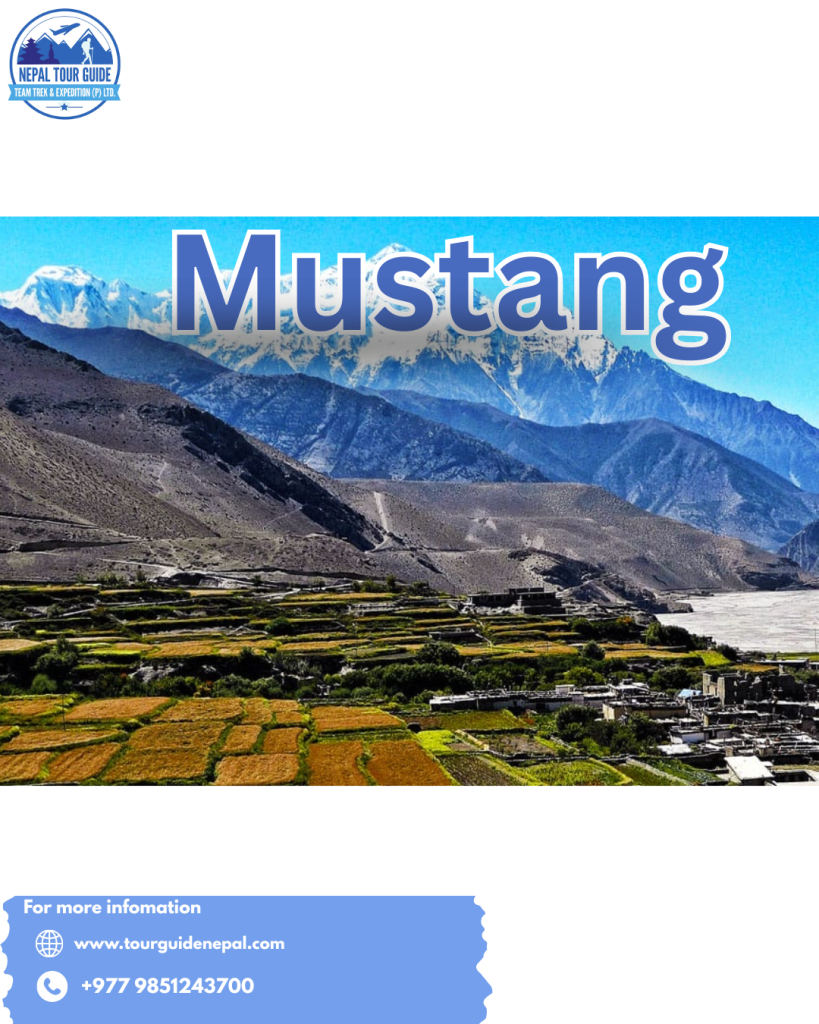 Mustang